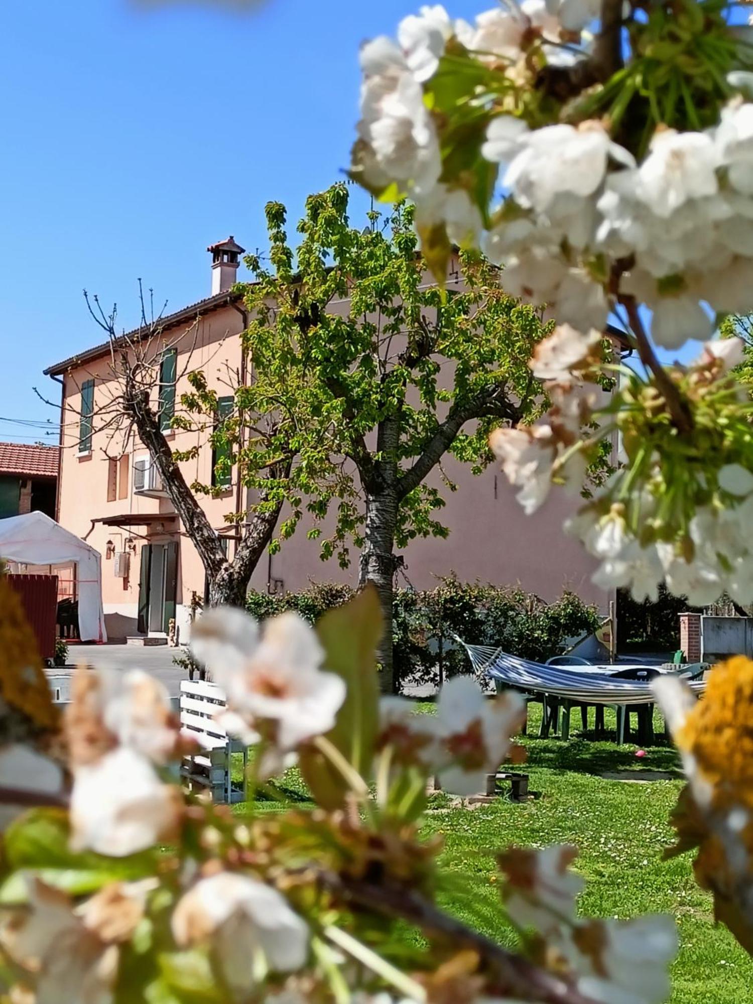 La Casa Della Nonna Bed & Breakfast บริซิเกลลา ภายนอก รูปภาพ